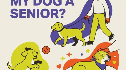 When Is My Dog a Senior? Size-Specific Thresholds